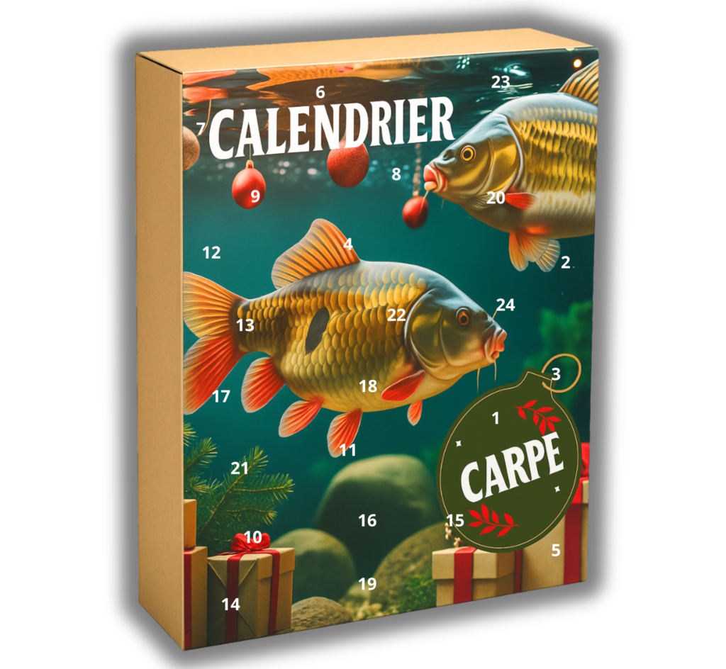 Calendrier De L'Avent 2023, Calendrier De L'Avent Angel, Copte à