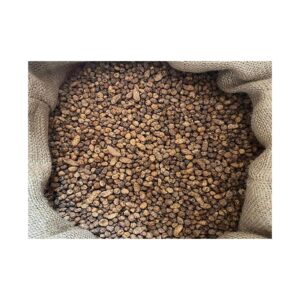Graine Poseidon Particles Tigernuts Micro <8
